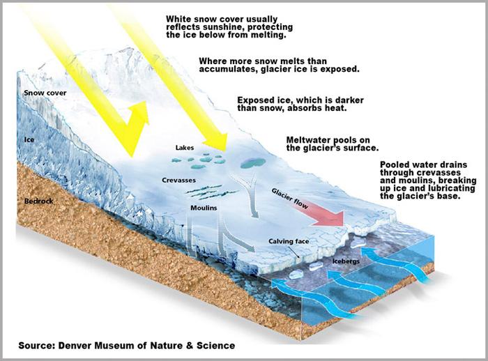 Exploring the Majestic Forces of Glacier Formation