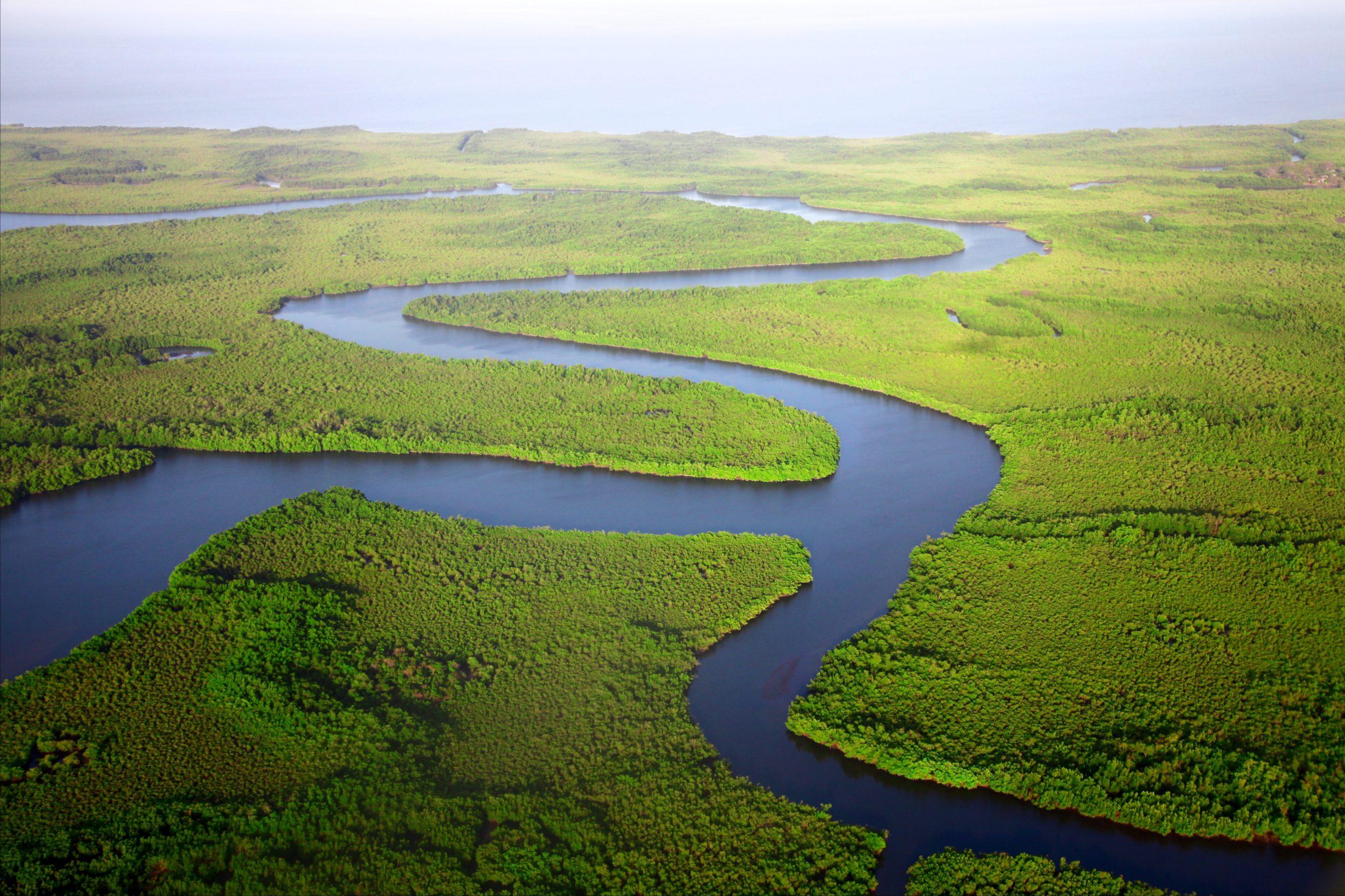 The Flow of Life: Rivers as Artists of Geology and Ecology