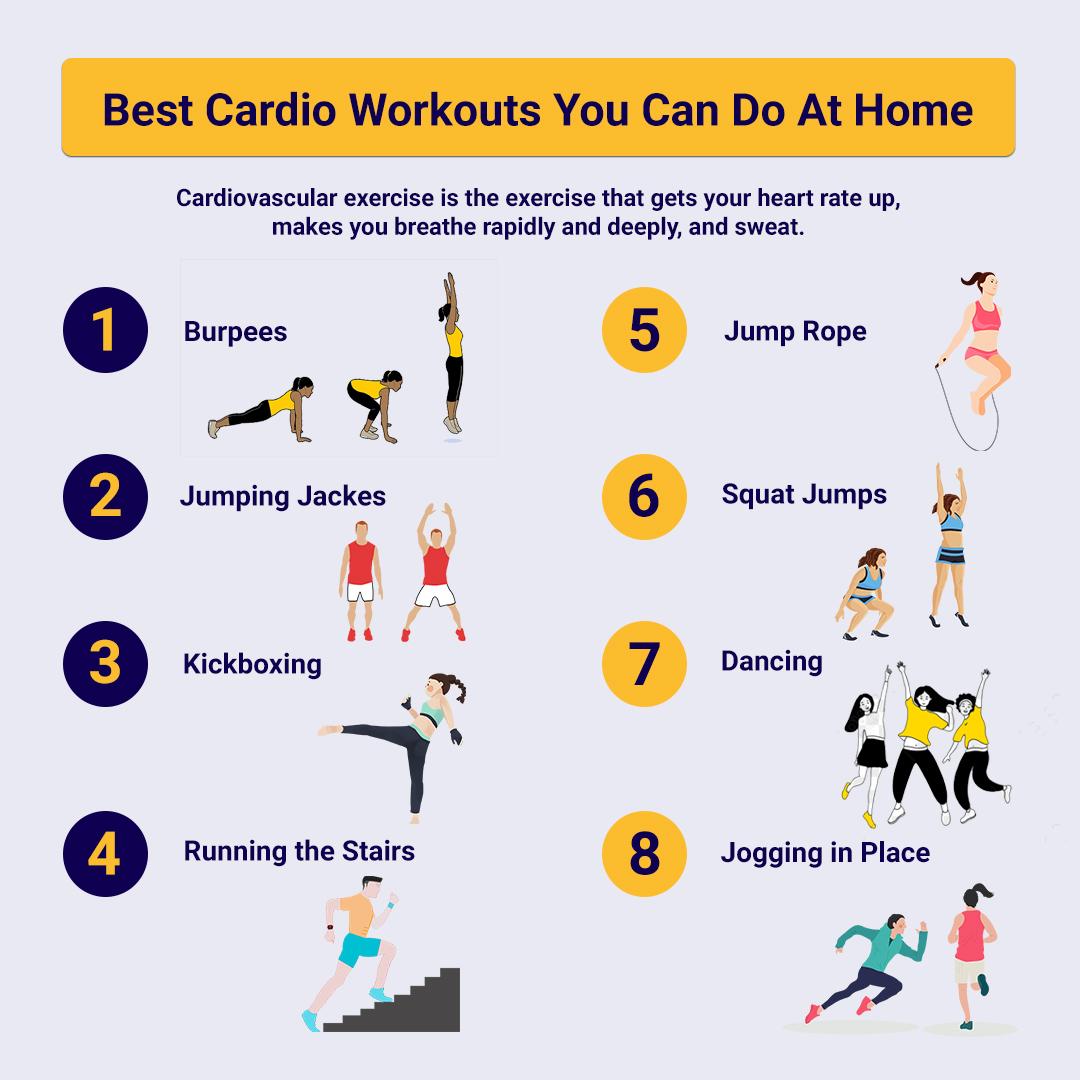 Discover the Best Cardiovascular Exercises for Every Fitness Level