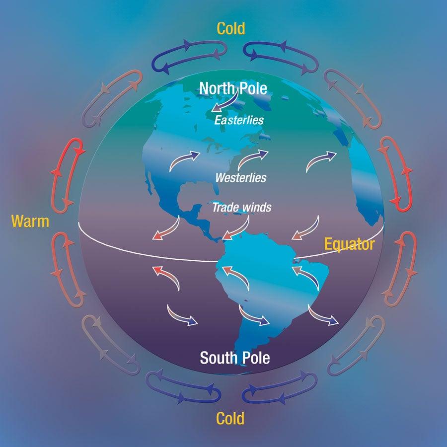 The Dance of Winds: Understanding Air Currents and Their Impact on Ecosystems