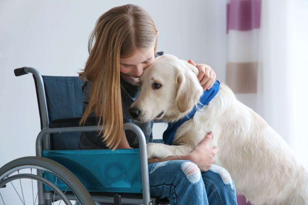 The Role of Therapy Animals in Emotional Recovery