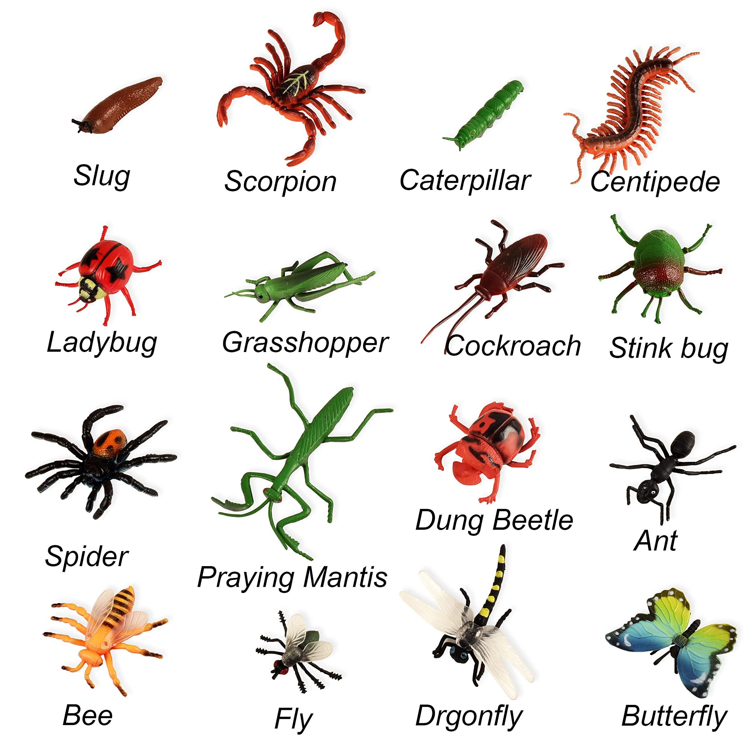 The Vital Role of Insects in Pollination and Food Production