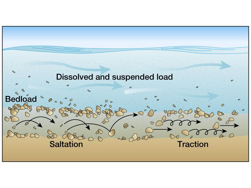 Beneath the Surface: The Role of Sediment Transport in Shaping Topography